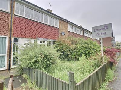 Picture 20